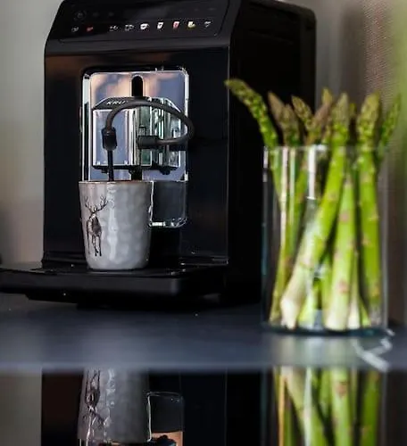 M14 别墅 索波特